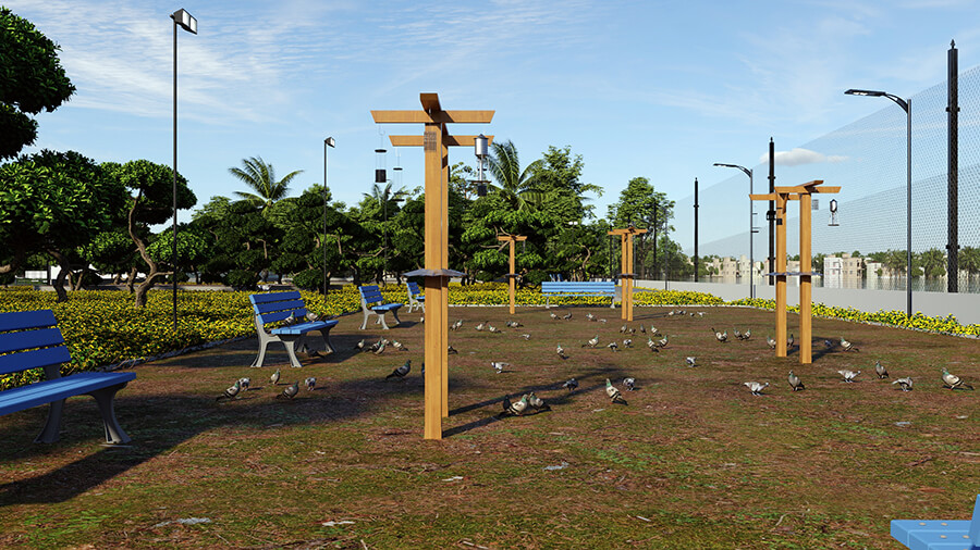 Birds-Feeding-Area