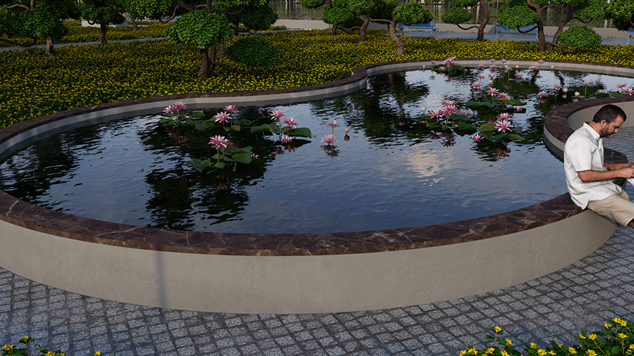 Lotus-pond