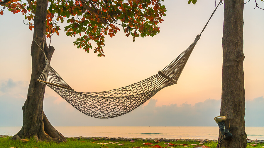hammock
